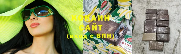 сатива Балахна